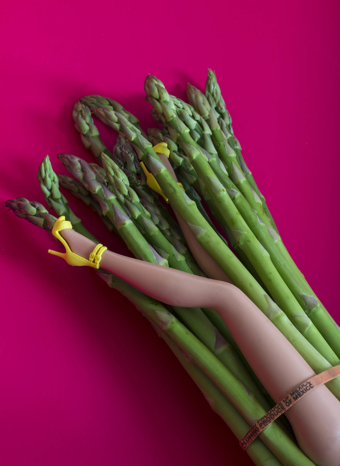 Asperges-Food photography- art photography